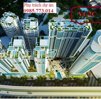 chu dau tu mo ban chung cu vc2 kim van kim lu golden central tower chu dau tu mo ban chung cu vc2 kim van kim lu golden central tower
