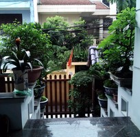 ban biet thu 45 tang thanh xuan nam gia 16 ty ban biet thu 45 tang thanh xuan nam gia 16 ty