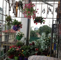 ban can ho chung cu 2p ngu 15 ty quan thanh xuan o to do cua ban can ho chung cu 2p ngu 15 ty quan thanh xuan o to do cua