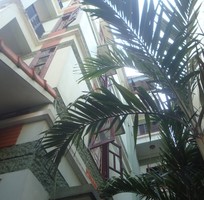 nha rieng dien tich lon tai khu de la thanh ho ngoc khanh nha rieng dien tich lon tai khu de la thanh ho ngoc khanh