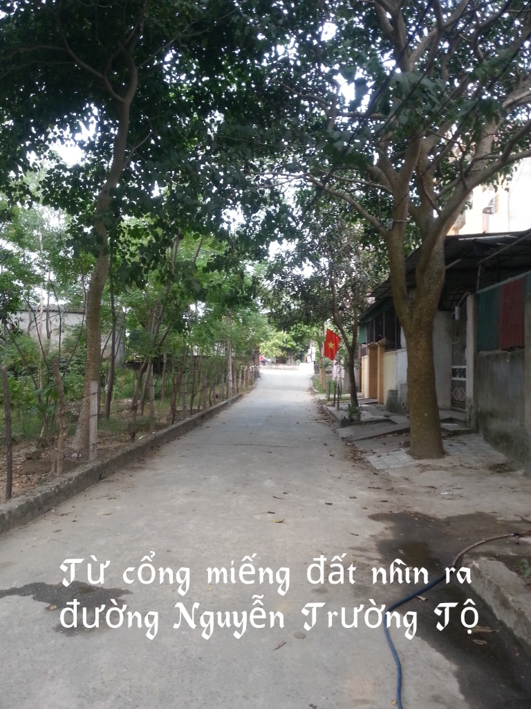 ban dat o dep vuong van tp vinh gia 640 trieu78x15mduong 7m ban dat o dep vuong van tp vinh gia 640 trieu78x15mduong 7m