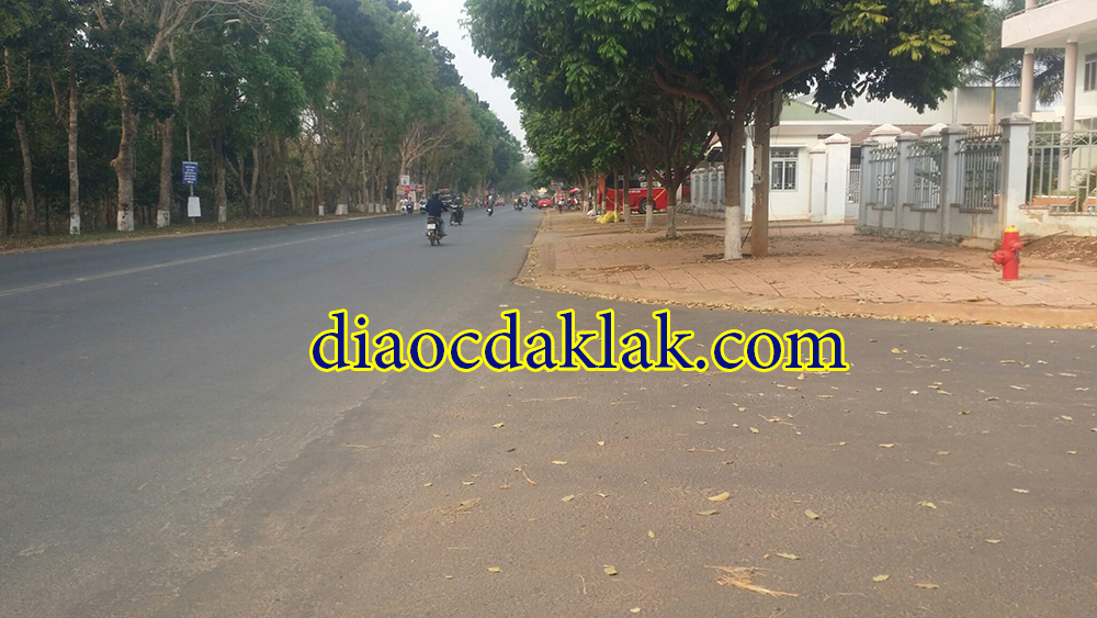 dat dep tho cu 100 6x20 khu dau gia bac tan loi co hinh anh dat dep tho cu 100 6x20 khu dau gia bac tan loi co hinh anh