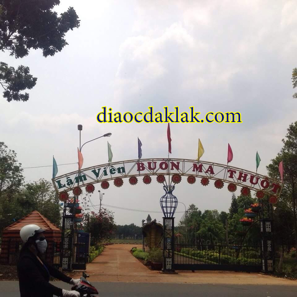 dat dep tho cu 100 6x20 khu dau gia bac tan loi co hinh anh dat dep tho cu 100 6x20 khu dau gia bac tan loi co hinh anh