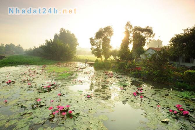 dat nen binh chanh five star eco city dep nhat nam sai gon dat nen binh chanh five star eco city dep nhat nam sai gon