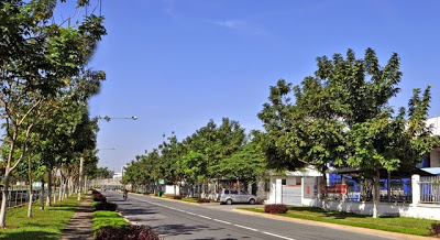dat so do lai thieu thuan an binh duong dat so do lai thieu thuan an binh duong