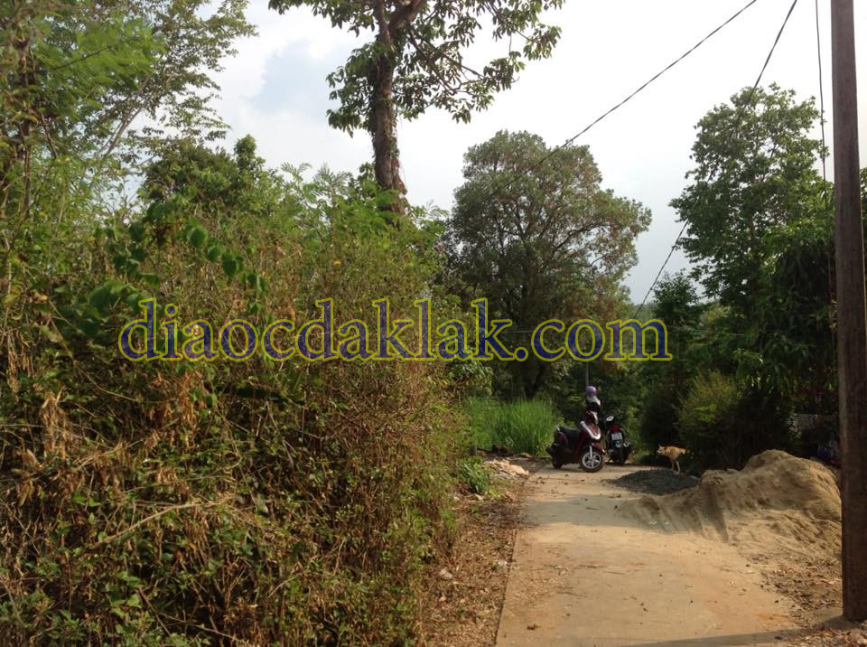 ban gap 2300m2 dat gan khu cho thanh nhat gia chi co 630 trieu co anh ban gap 2300m2 dat gan khu cho thanh nhat gia chi co 630 trieu co anh