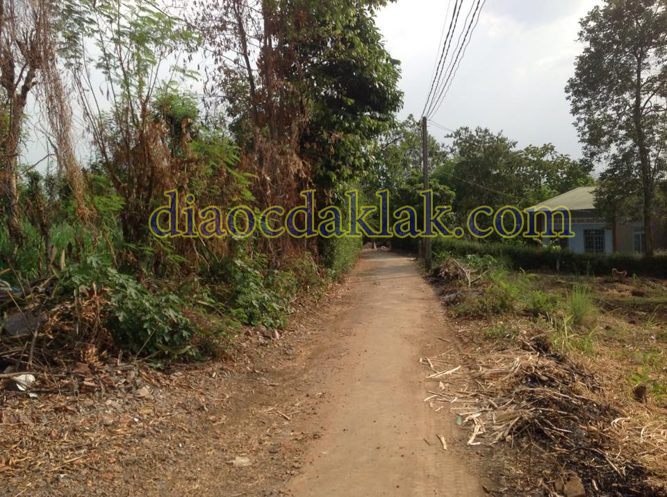 ban gap 2300m2 dat gan khu cho thanh nhat gia chi co 630 trieu co anh ban gap 2300m2 dat gan khu cho thanh nhat gia chi co 630 trieu co anh