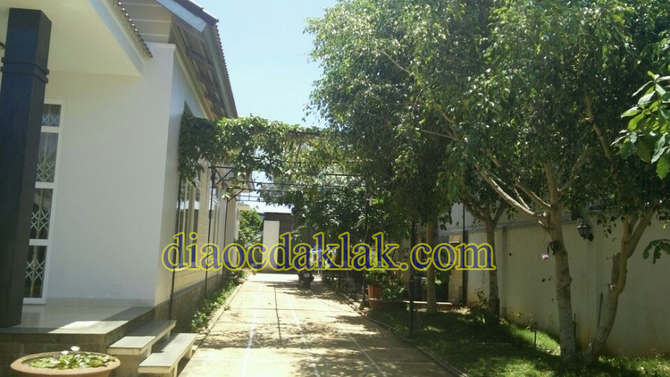 nha mai thai san vuon 600m2 hem a ma khe gia hap dan co anh nha mai thai san vuon 600m2 hem a ma khe gia hap dan co anh