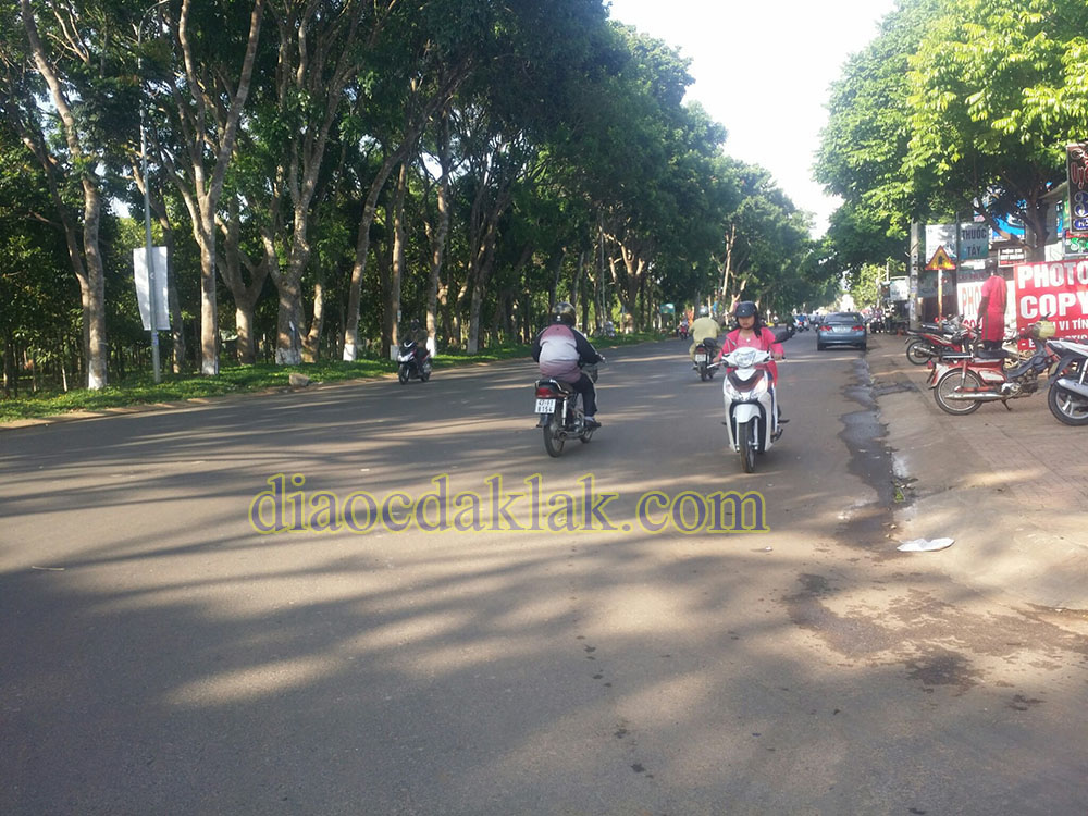dat dep doi dien hoa vien khu dau gia bac tan loi co anh dat dep doi dien hoa vien khu dau gia bac tan loi co anh