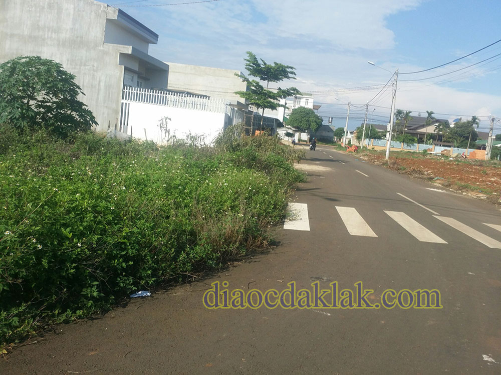 dat dep doi dien hoa vien khu dau gia bac tan loi co anh dat dep doi dien hoa vien khu dau gia bac tan loi co anh