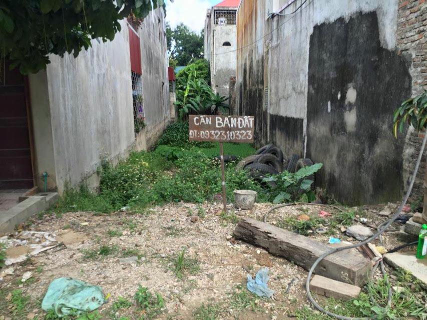 Bán đất thanh hóa