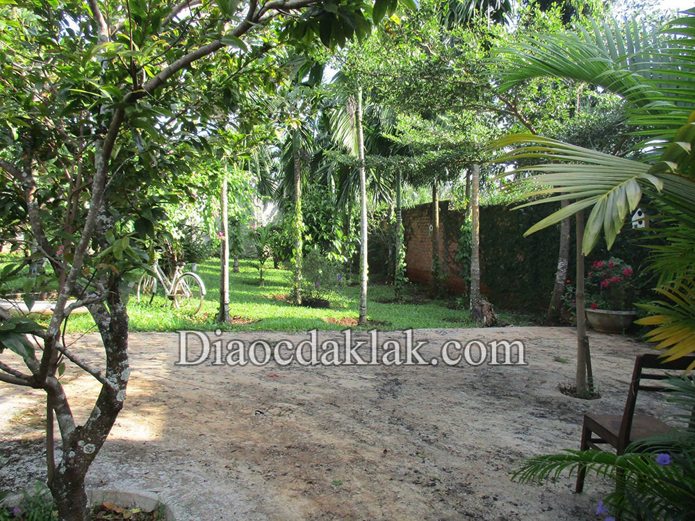 nha vuon 28 sao cuoi phan huy chu kieu nha da lat co ao ca vuon cay an trai gia hap dan nha vuon 28 sao cuoi phan huy chu kieu nha da lat co ao ca vuon cay an trai gia hap dan