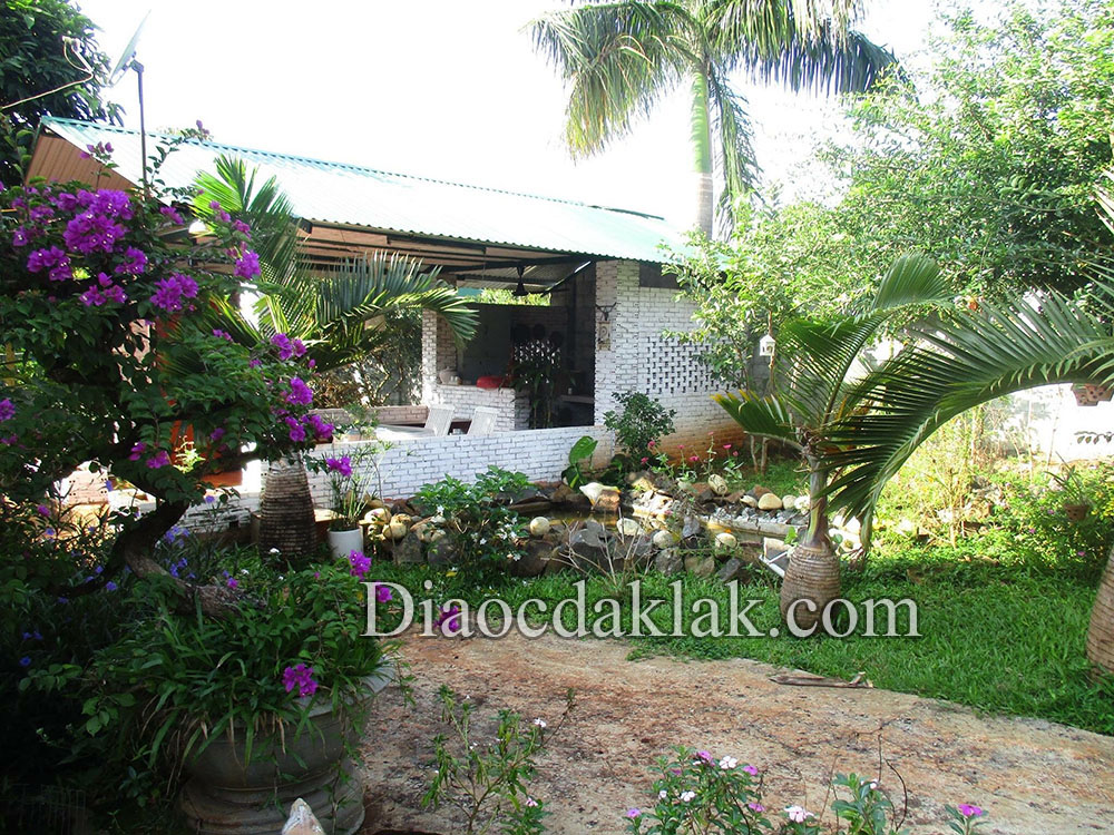 nha vuon 28 sao cuoi phan huy chu kieu nha da lat co ao ca vuon cay an trai gia hap dan nha vuon 28 sao cuoi phan huy chu kieu nha da lat co ao ca vuon cay an trai gia hap dan