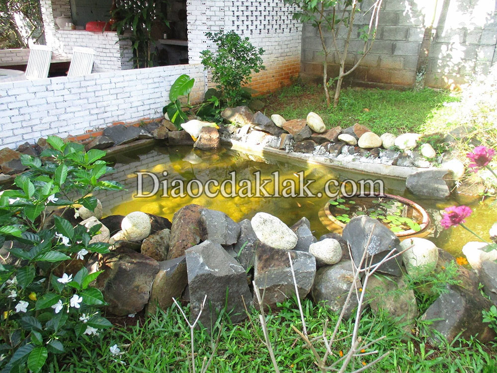 nha vuon 28 sao cuoi phan huy chu kieu nha da lat co ao ca vuon cay an trai gia hap dan nha vuon 28 sao cuoi phan huy chu kieu nha da lat co ao ca vuon cay an trai gia hap dan