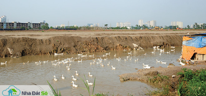 'Hà đất nền Hà Nội