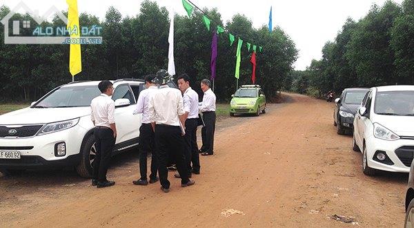//filevn.timdat.net/upload/anh-bat-dong-san/image/2017-02-08/dat-nen-biet-thu-san-bay-long-thanh-kdc-tan-hong-ngoc-2.jpg