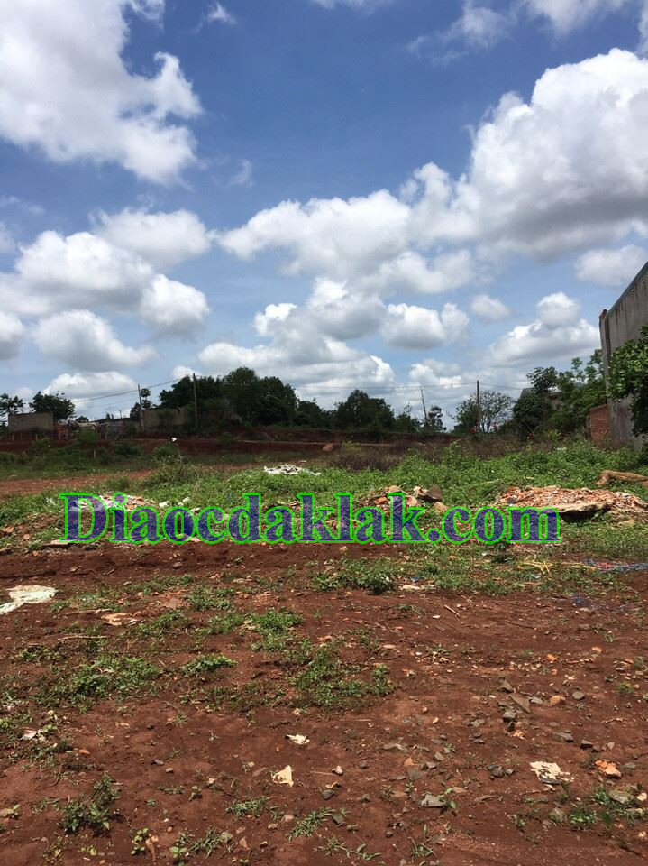 dat dep mat tien vanh dai gan be tong dai dong 2047m2 dat dep mat tien vanh dai gan be tong dai dong 2047m2