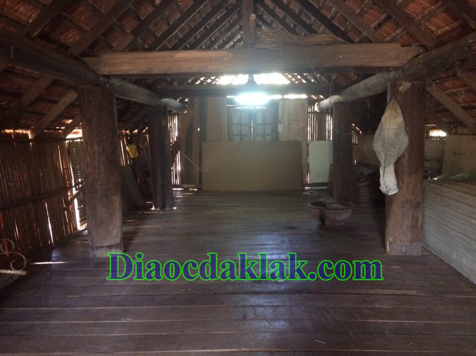 dat vuon dt 4350m2 nguyen thi dinh co ao ca cay an trai nha san go huong dat vuon dt 4350m2 nguyen thi dinh co ao ca cay an trai nha san go huong