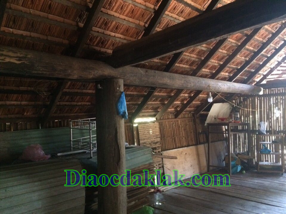 dat vuon dt 4350m2 nguyen thi dinh co ao ca cay an trai nha san go huong dat vuon dt 4350m2 nguyen thi dinh co ao ca cay an trai nha san go huong