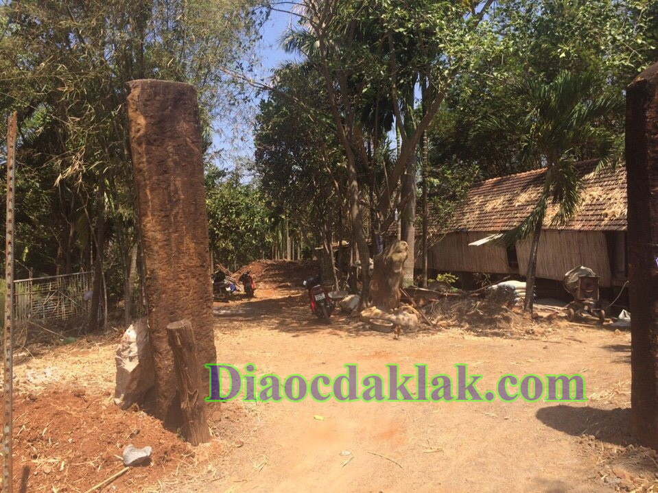 dat vuon dt 4350m2 nguyen thi dinh co ao ca cay an trai nha san go huong dat vuon dt 4350m2 nguyen thi dinh co ao ca cay an trai nha san go huong