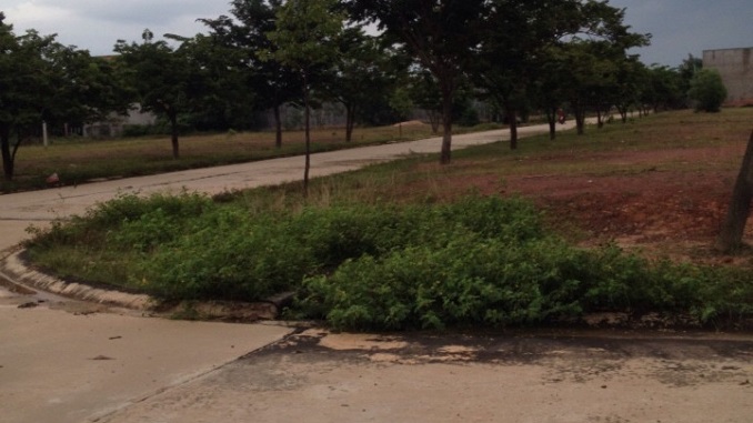 ngan hang vib thanh ly nha dat kdt moi binh duong gia chi 335tr nen