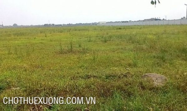 cho thue xuong tai cam giang hai duong gia cuc hop ly cho thue xuong tai cam giang hai duong gia cuc hop ly