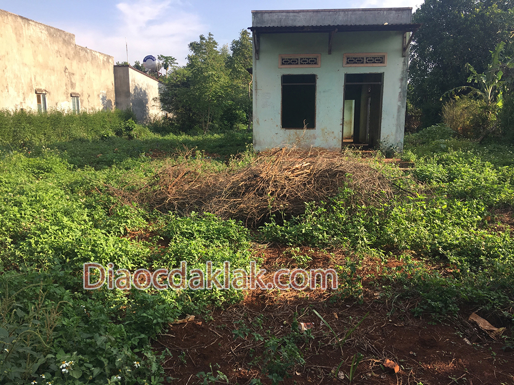 ban gap lo dat dep tho cu 11 sao khu doi dien cho dat ly gia 850 trieu co anh ban gap lo dat dep tho cu 11 sao khu doi dien cho dat ly gia 850 trieu co anh