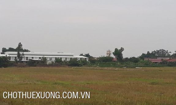cho thue dat cong nghiep 50 nam tai tam hop vinh phuc cho thue dat cong nghiep 50 nam tai tam hop vinh phuc