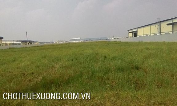 ban gap dat kcn tan truong cam giang hai duong gia tot ban gap dat kcn tan truong cam giang hai duong gia tot