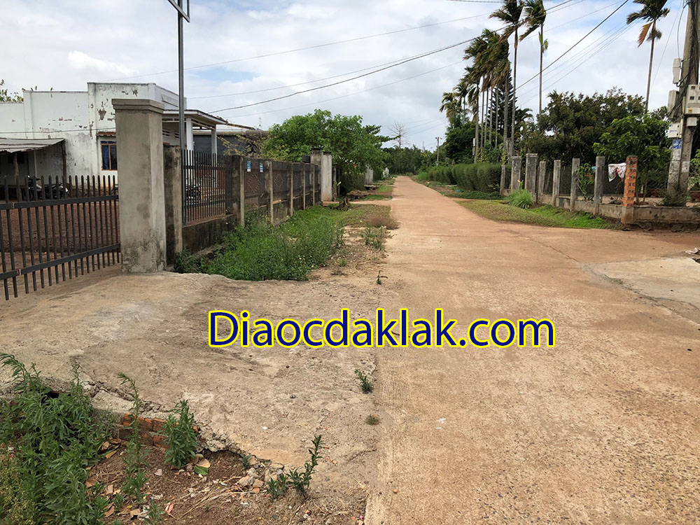 ban gap 47 sao dat co tho cu hoa khanh cach cho 150m gia chi 770 trieu ban gap 47 sao dat co tho cu hoa khanh cach cho 150m gia chi 770 trieu