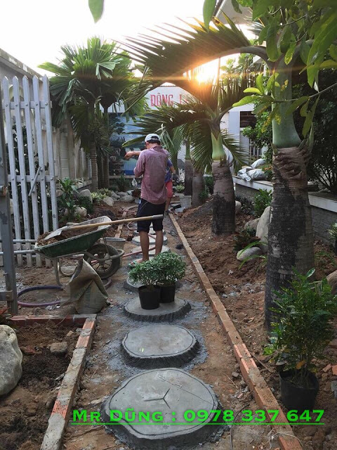 thi cong tieu canh canh quan san vuon dai phu gia 0978337647