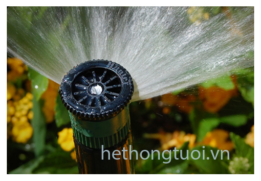 voi phun hunter dau tuoi rotor hunter he thong tuoi hunter bec tuoi hunter dau phun nuoc hunter