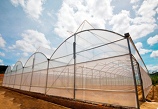 mang kinh israel nha mang israel nha kinh gia re mang nha kinh ha noi mo hinh nha kinh nong nghiep mang kinh israel nha mang israel nha kinh gia re mang nha kinh ha noi mo hinh nha kinh nong nghiep