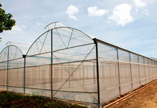 mang kinh israel nha mang israel nha kinh gia re mang nha kinh ha noi mo hinh nha kinh nong nghiep mang kinh israel nha mang israel nha kinh gia re mang nha kinh ha noi mo hinh nha kinh nong nghiep