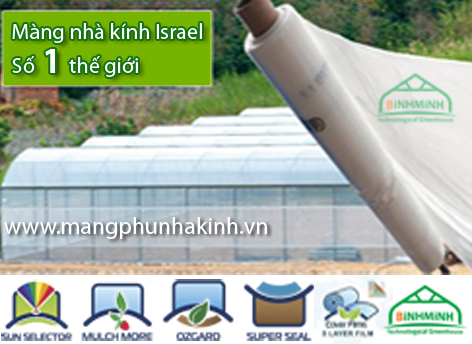 nha mang israel nha kinh gia re mang nha kinh tai ha noi nha mang israel nha kinh gia re mang nha kinh tai ha noi