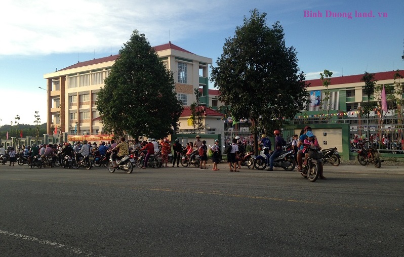 ban dat duong lon gan truong hoc chanh phu hoa ben cat binh duong ban dat duong lon gan truong hoc chanh phu hoa ben cat binh duong