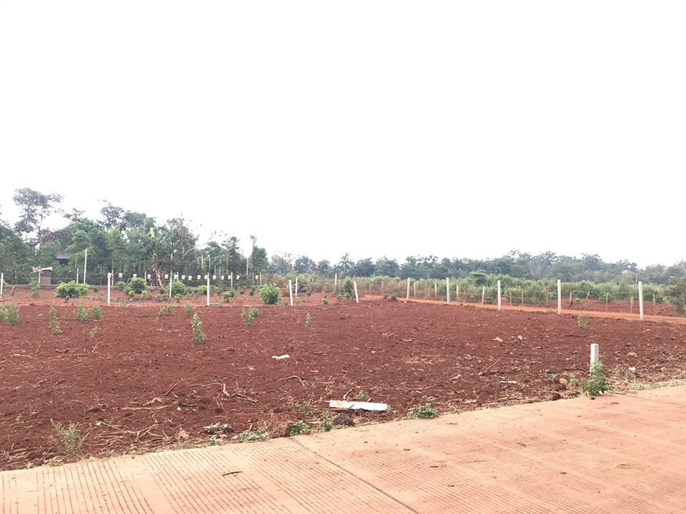 ban dat cu sue doi dien du an flc cach khu cn tan an 1km 530tr 0943798692 quynh anh ban dat cu sue doi dien du an flc cach khu cn tan an 1km 530tr 0943798692 quynh anh