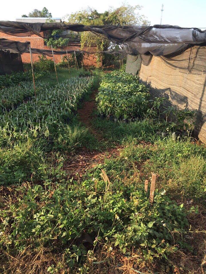 dat hem sau lung cho sang xa hoa thang 500m 20x24m 21 ty 0943798692 quynh anh dat hem sau lung cho sang xa hoa thang 500m 20x24m 21 ty 0943798692 quynh anh