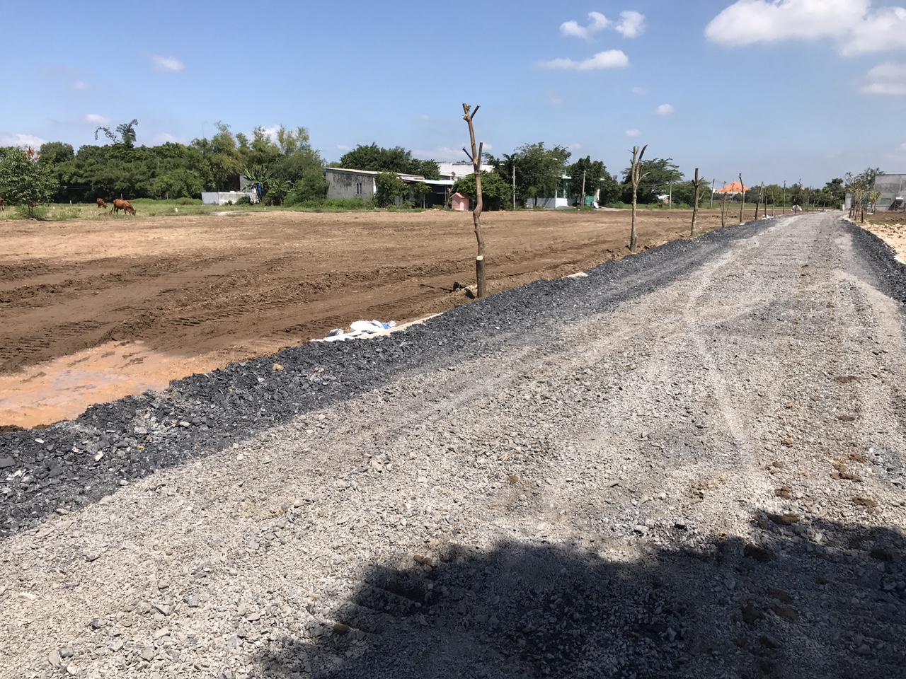 Kết quả hình ảnh cho HÃNH ẢNH ÄẤT Ná»N ÄỨC HÃA LONG AN