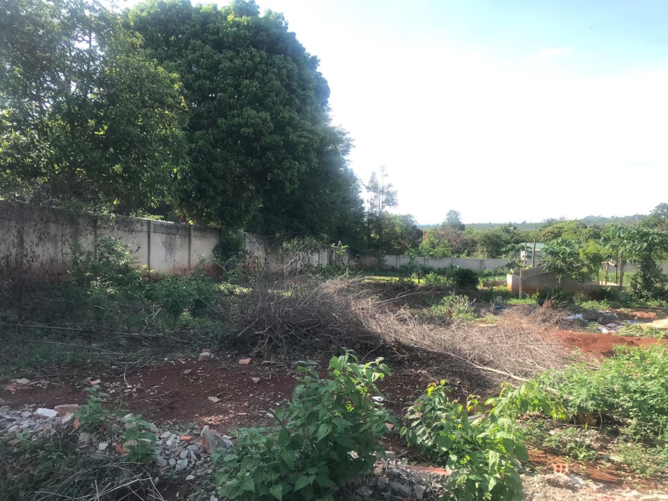 dat mat tien a2 thon 4 cu ebur 15x24m 110tr m ngang 0943798692 quynh anh dat mat tien a2 thon 4 cu ebur 15x24m 110tr m ngang 0943798692 quynh anh