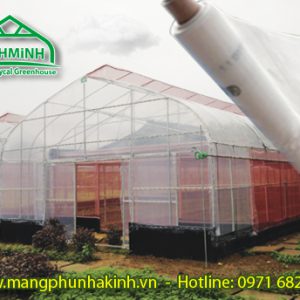 trong rau nha kinh trong rau trong nha kinh ban khung nha kinh trong rau mo hinh rau sach mo hinh tr