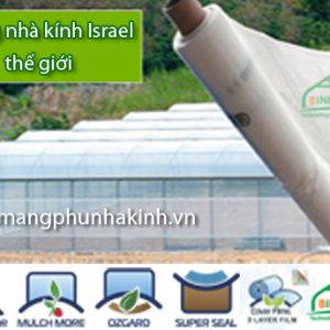 trong rau nha kinh trong rau trong nha kinh ban khung nha kinh trong rau mo hinh rau sach mo hinh tr