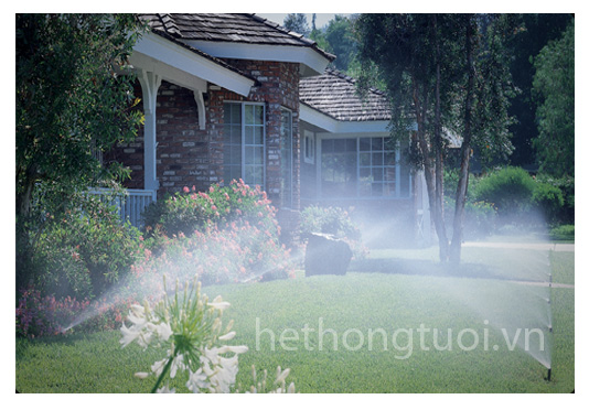 co so ban mang nilong nha kinh tai thanh hoa cau truc mang nilong nha kinh cau truc nha kinh trong r co so ban mang nilong nha kinh tai thanh hoa cau truc mang nilong nha kinh cau truc nha kinh trong r