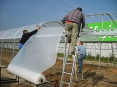 thiet ke thi cong lap dat nha kinh chuyen nghiepnha kinh trong raunha kinh trong dua luoinha kinh nu thiet ke thi cong lap dat nha kinh chuyen nghiepnha kinh trong raunha kinh trong dua luoinha kinh nu