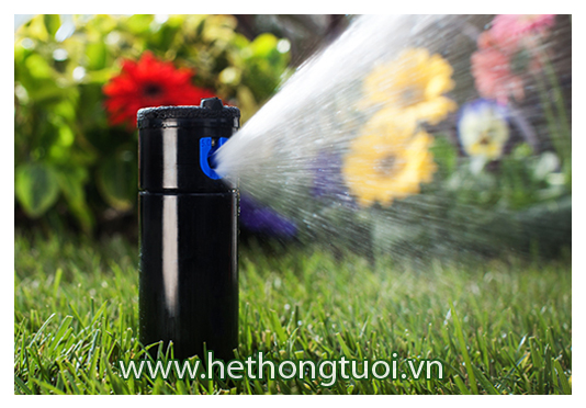 bat nilon trang o hue bat phu nha kinh khu vuc quan thanh xuan ban thiet ke nha luoi chong nong tai bat nilon trang o hue bat phu nha kinh khu vuc quan thanh xuan ban thiet ke nha luoi chong nong tai