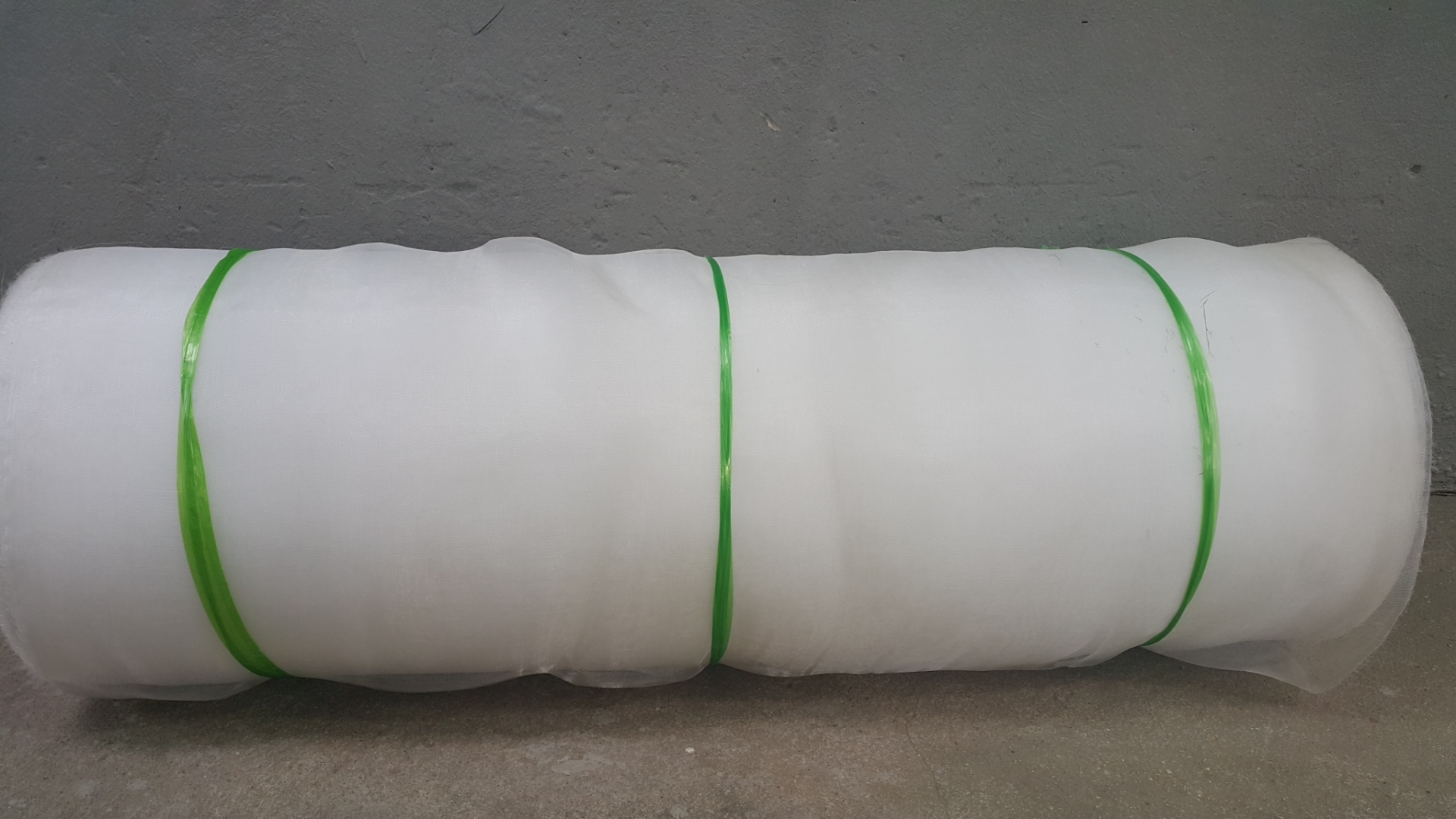 nha luoi trong dua luoi nha luoi nha kinh nha luoi gia re nha luoi trong dua luoi nha luoi nha kinh nha luoi gia re