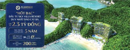 1 ty dong de so huu flamingo cat ba resort anh chi se so huu nhung gi chiet khau 40stk 200tr 1 ty dong de so huu flamingo cat ba resort anh chi se so huu nhung gi chiet khau 40stk 200tr