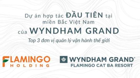 biet thu bien the sun flamingo cat ba toa nha trung tam nhieu tien ich nhat wyndham grand quan ly biet thu bien the sun flamingo cat ba toa nha trung tam nhieu tien ich nhat wyndham grand quan ly