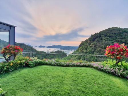 biet thu bien the sun flamingo cat ba toa nha trung tam nhieu tien ich nhat wyndham grand quan ly biet thu bien the sun flamingo cat ba toa nha trung tam nhieu tien ich nhat wyndham grand quan ly