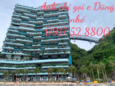 cdt chi con 1 can duy nhat 40m2 ma gia co 22tyflamingo cat ba bo ra so von 950 trieu vay 0 lsuat cdt chi con 1 can duy nhat 40m2 ma gia co 22tyflamingo cat ba bo ra so von 950 trieu vay 0 lsuat